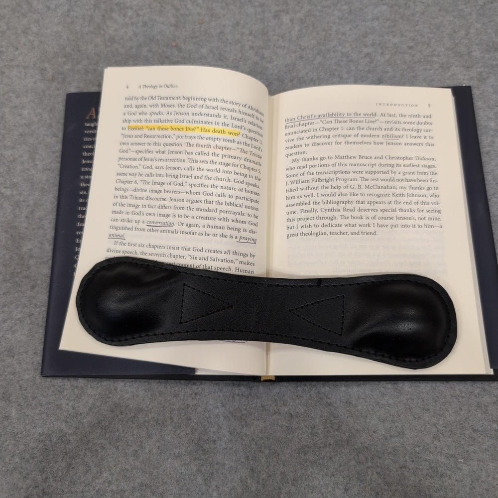 A Theology in Outline Can These Bones Live? Robert W Jenson Oxford Hardcover - Picture 3 of 5
